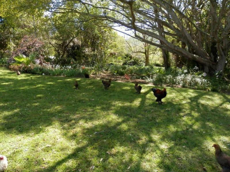 Braeside Guest House (Adults Only) Swellendam Bagian luar foto